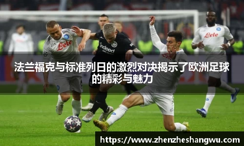 365WM完美体育官方app