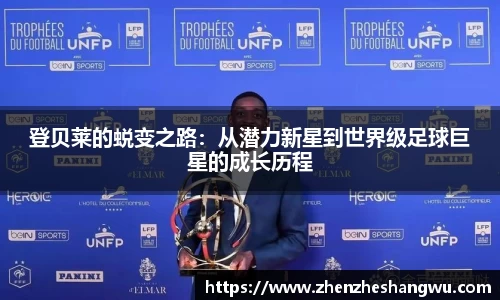 365WM完美体育官方app