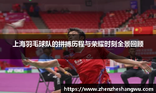 365WM完美体育官网