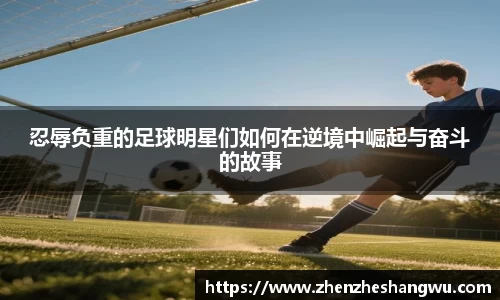 365WM完美体育官方网站